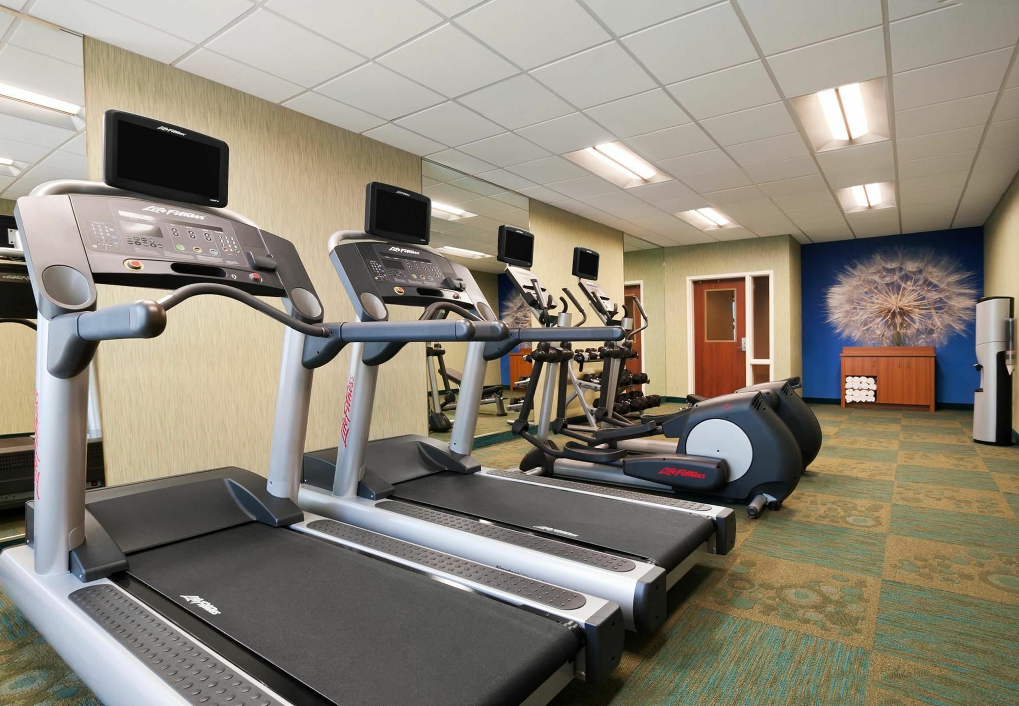 Springhill Suites By Marriott Jackson North/רידג'לנד מראה חיצוני תמונה
